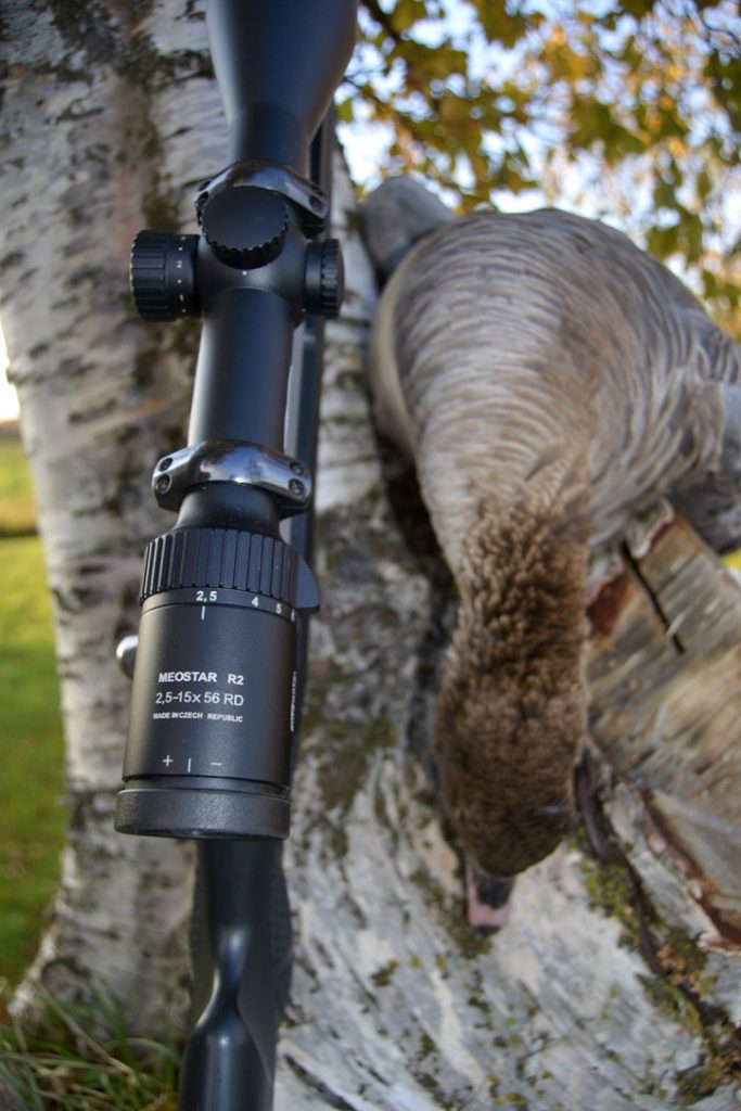 Gåsejakt med rifle
