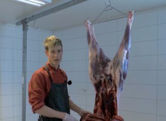 Joar trengte noe å gjøre, da realiserte han en drøm om en egen kanal for filmer om jakt, fiske og mat.