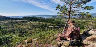 Nå kan du drive vårjakt på råbukk i hele Sverige