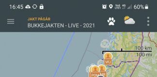 Bukkejakten 2021- LIVE