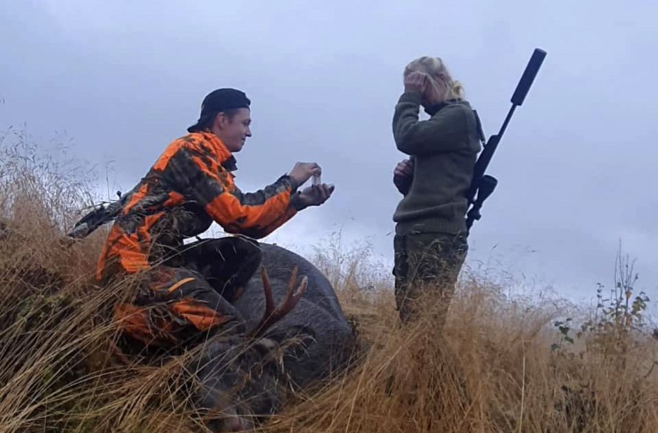Hva er vel mer naturlig for en elgjeger, enn å fri over en nyskutt elg