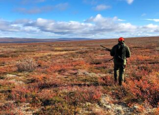 Finnmark: Status småviltjakt høsten 2023