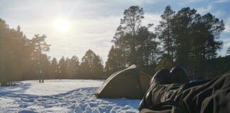 Jakten på opplevelser i furuskogen