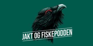 Bør man spare steggen?