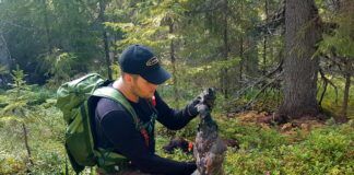 Råd om håndtering av fuglevilt og syke rovdyr