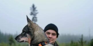 FILM: Elgen springer rett over Albin