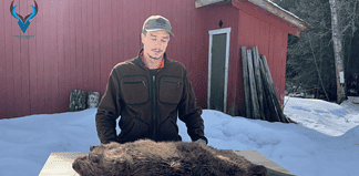Video: Thomas viser hvordan du flår en bever