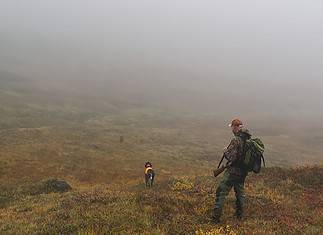 Statskog opplever stor etterspørsel etter jaktkort i populære områder