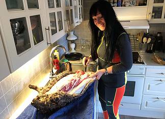 Spennende beverjakt ga Laila sitt første beverskinn og ikke minst smakfull mat.
