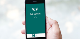 Skutte rådyr skal nå rapporteres i Hjorteviltregisteret