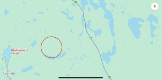 Elghund funnet skutt