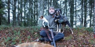 Rasmus Boström med gode tips om hunder til revejakt rasmus revejakt støver hihund tysker