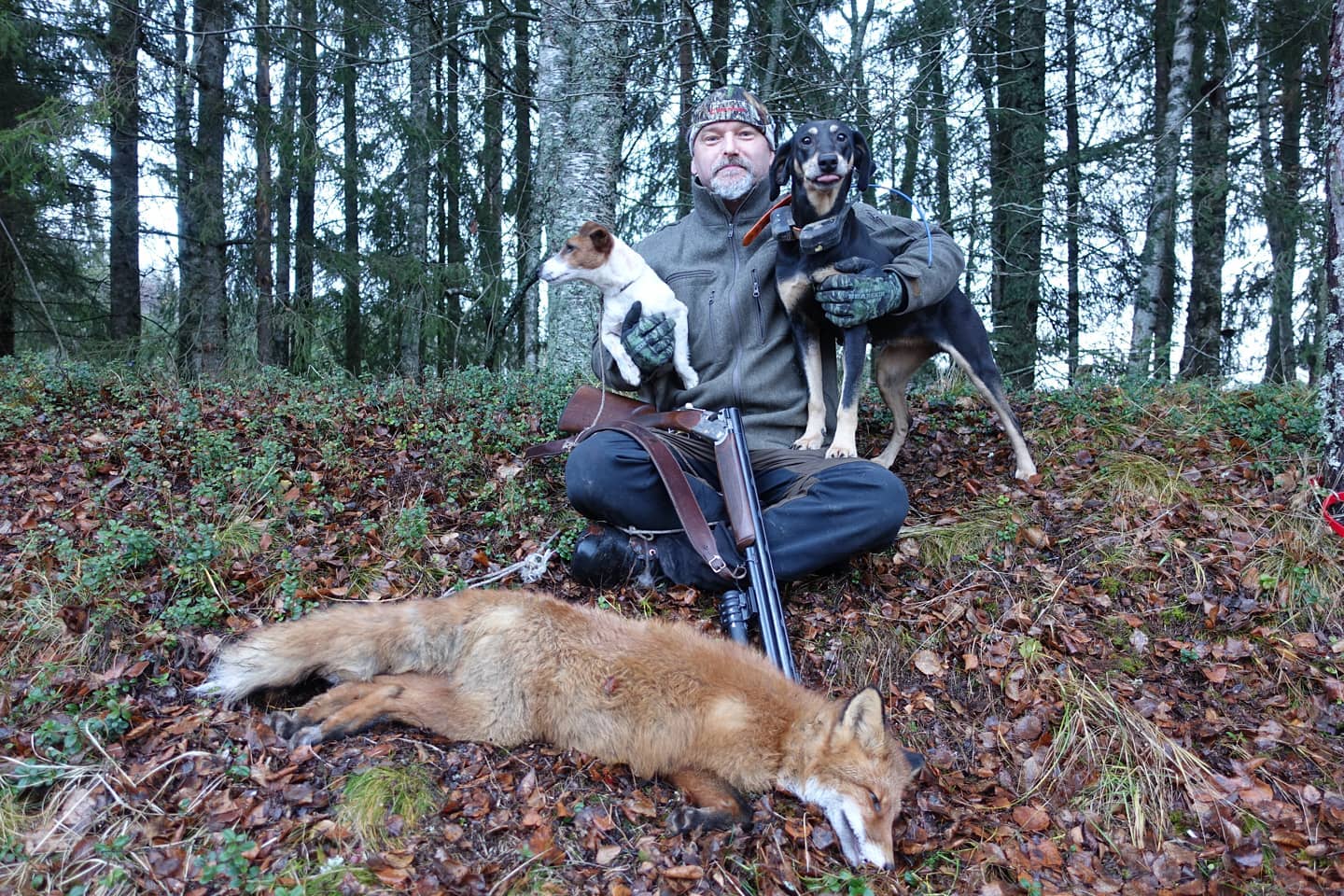 rasmus revejakt støver hihund tysker