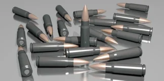 Sverige: Norma Precision AB satser på forsvarsindustrien ammunisjon riflepatroner pixabay