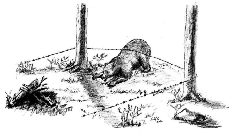 hårfelle 