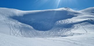 Snøskuterførere tatt på fersk gjerning i villreinområde villrein scooter skuter SNO