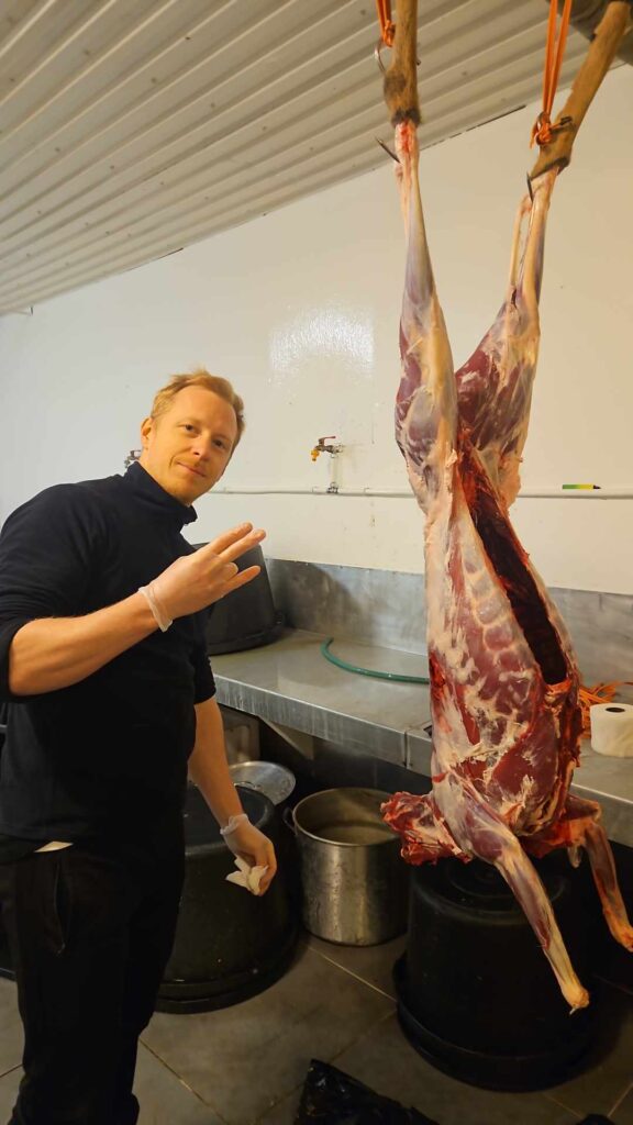 rådyrjakt jegeravisen