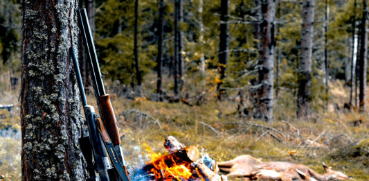 norma jakt rifle bål hjort
