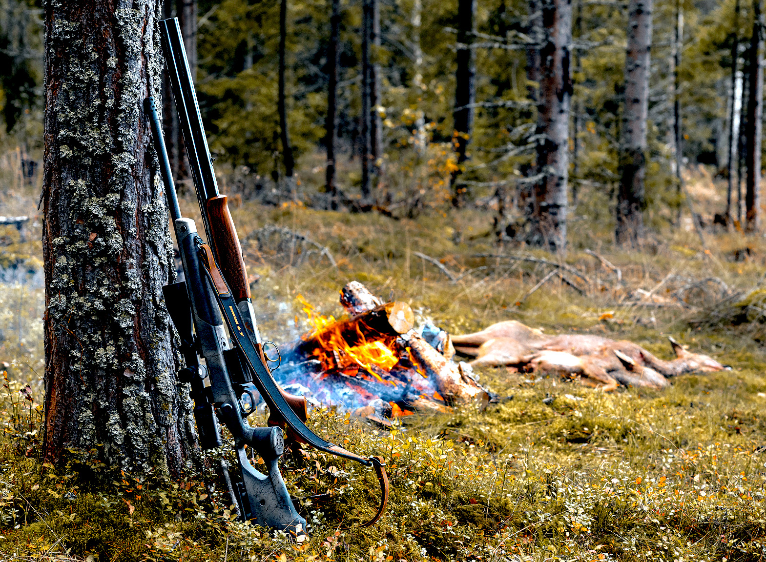 norma jakt rifle bål hjort