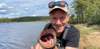 Terger på seg svenskene i ny TV-sesong
