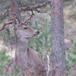IMG_0107