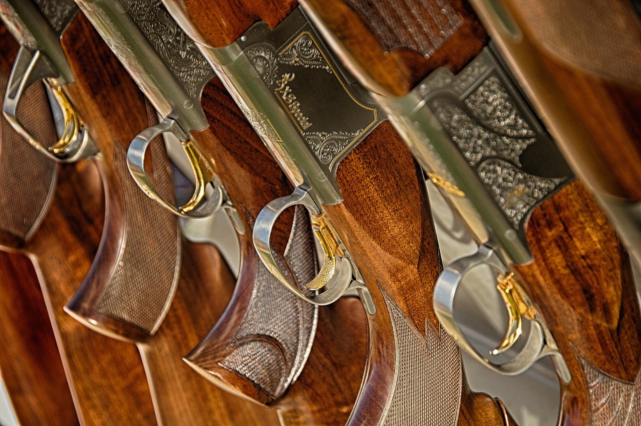 gun våpen hagle pixabay