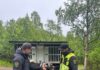 Forbereder bjørnefelling i Jarfjord statens naturoppsyn bjørnejakt