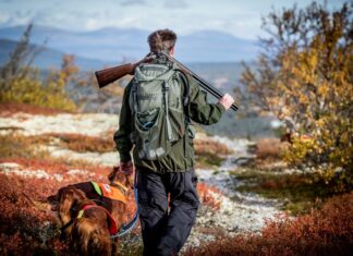 Hvorfor jobber mange i juli og tar ferie i september?