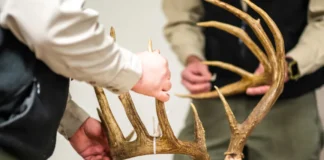 Ulovlig jakt koster USA 1,4 milliarder dollar i året