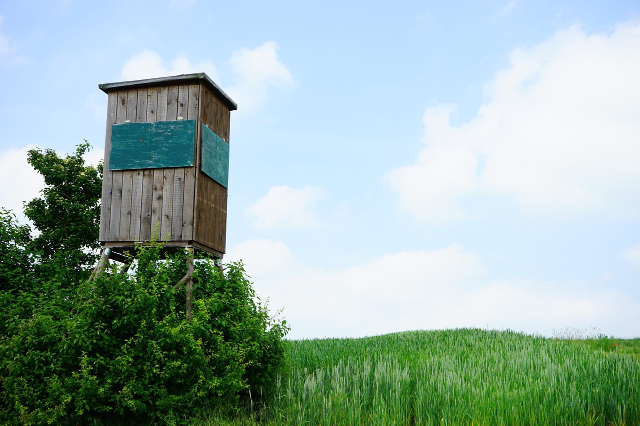 hunting stand tower jakttårn